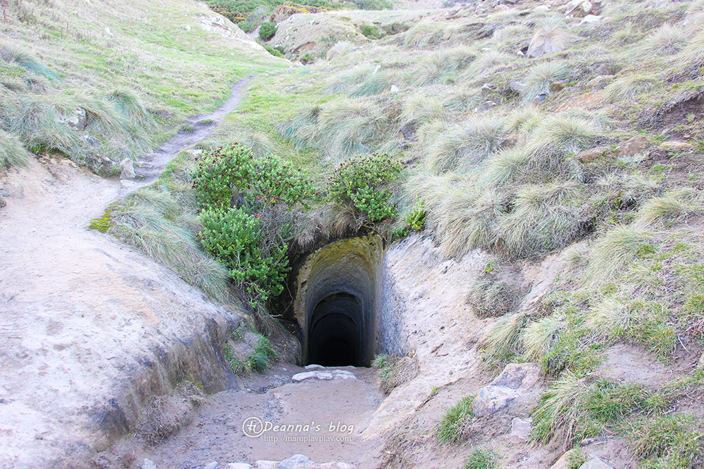 紐西蘭 tunnel beach