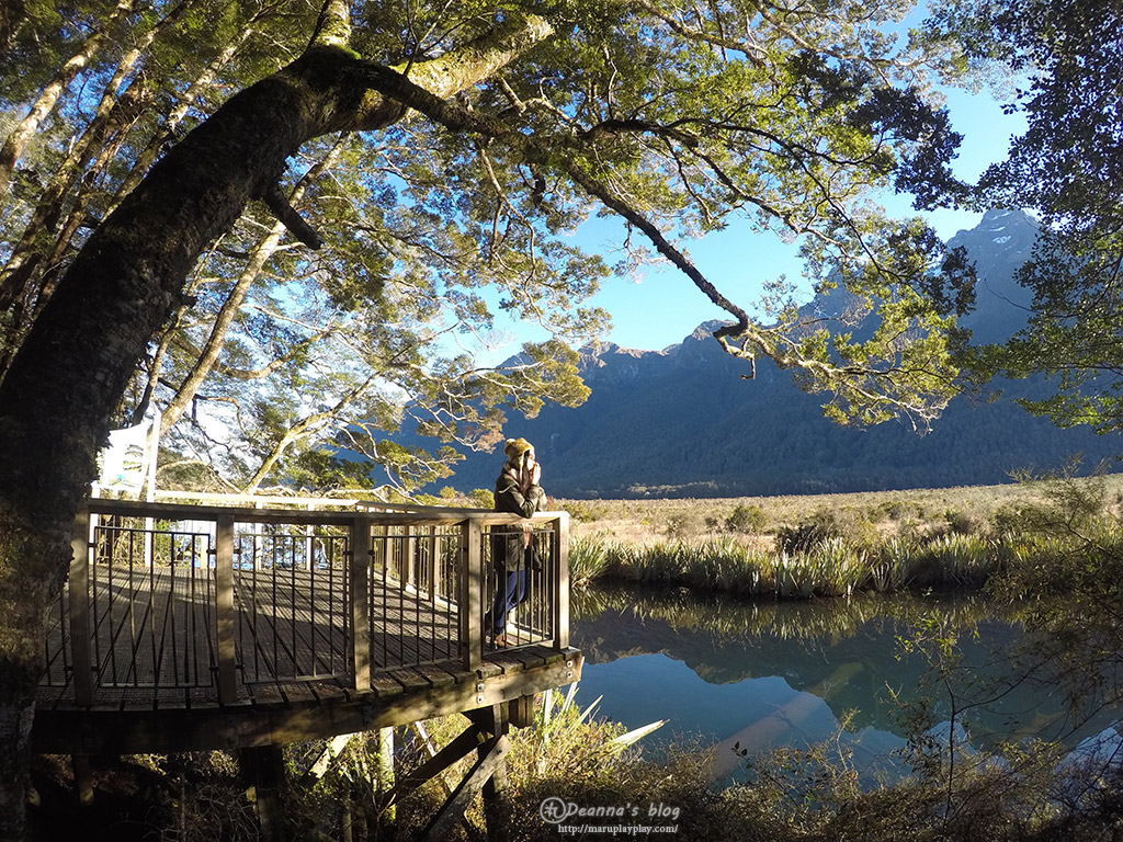紐西蘭鏡湖