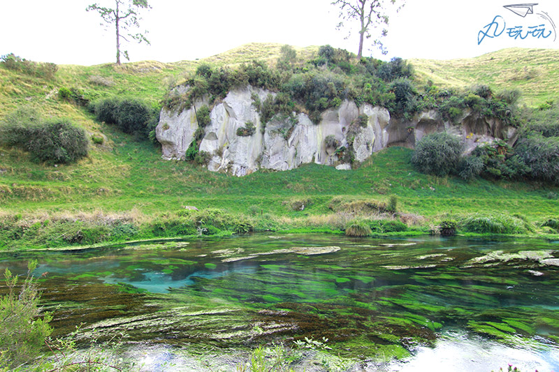 紐西蘭blue spring