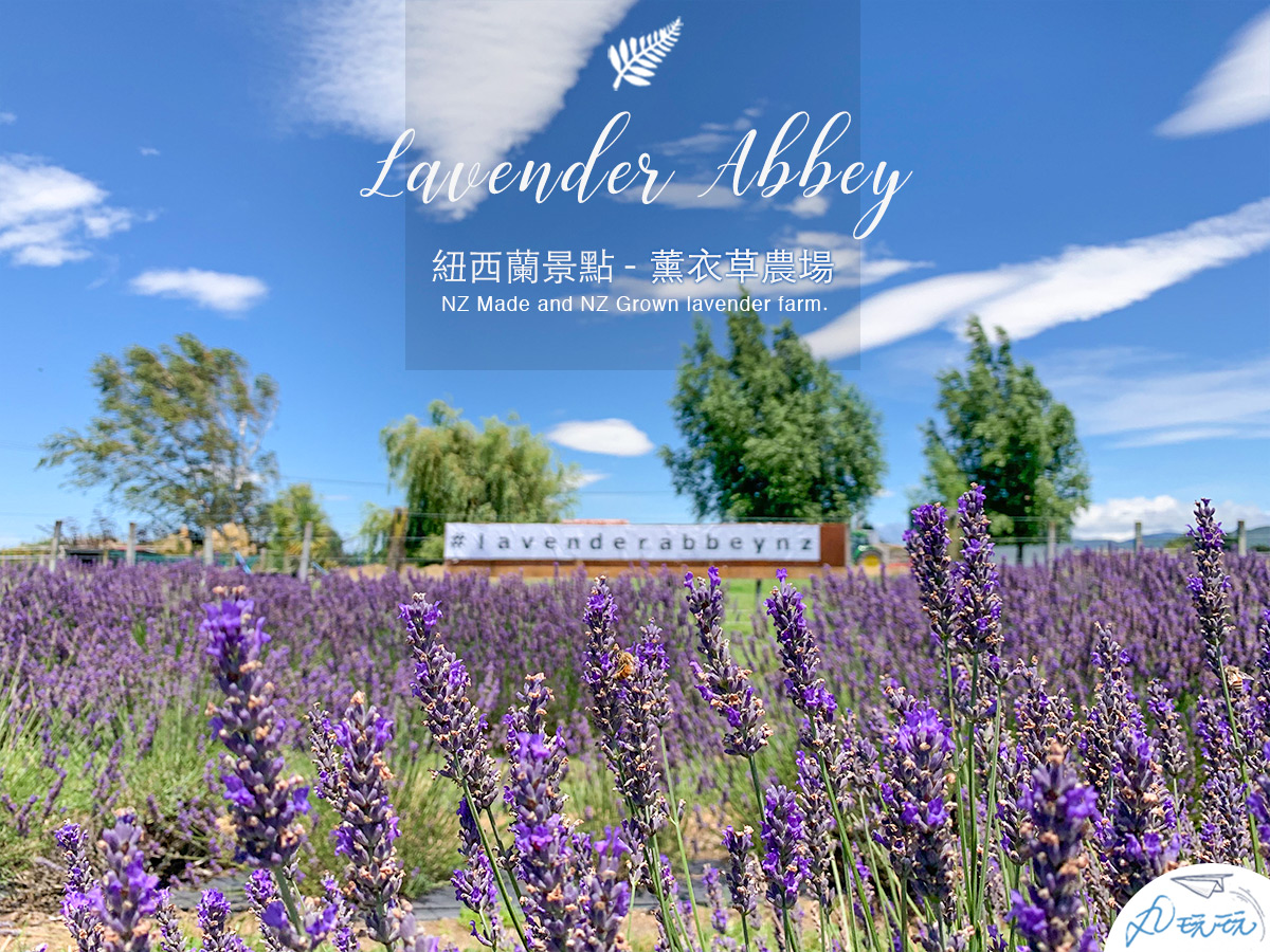 Read more about the article 紐西蘭景點｜薰衣草農場採花體驗，浪漫的盛夏紫色回憶